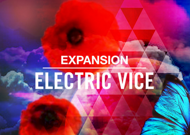 Native Instruments Electric Vice